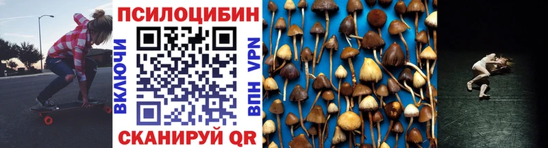 продажа наркотиков Опочка Галлюциногенные грибы Magic Shrooms